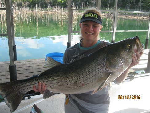 Nice Striped Bass